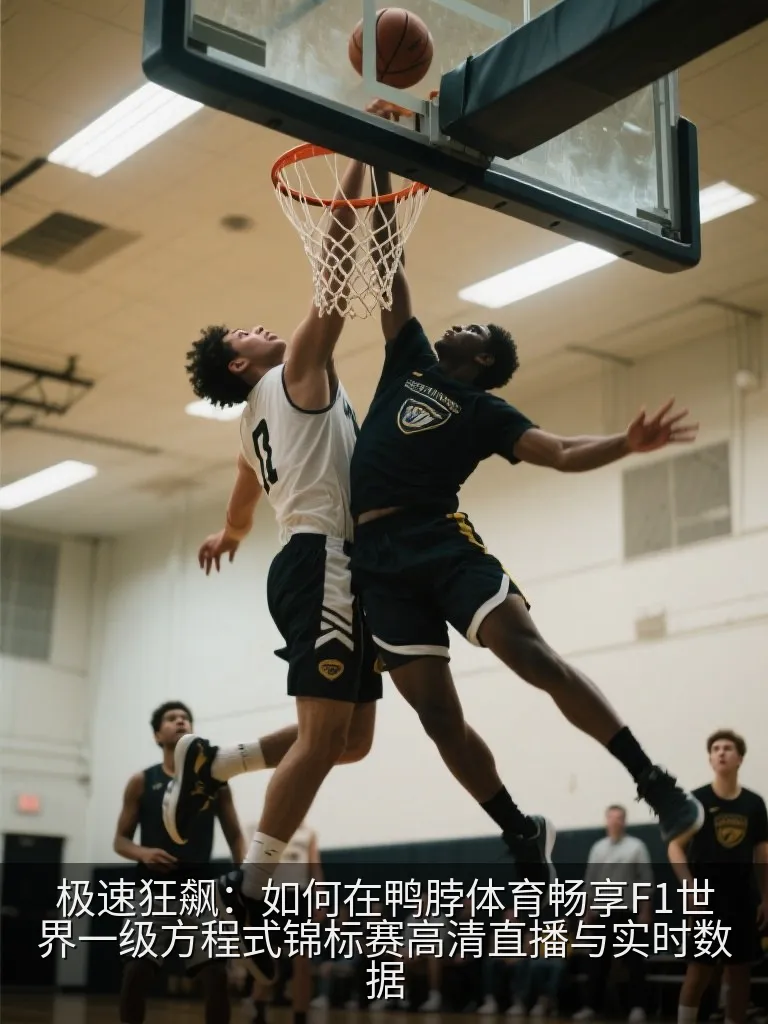 极速狂飙：如何在鸭脖体育畅享F1世界一级方程式锦标赛高清直播与实时数据